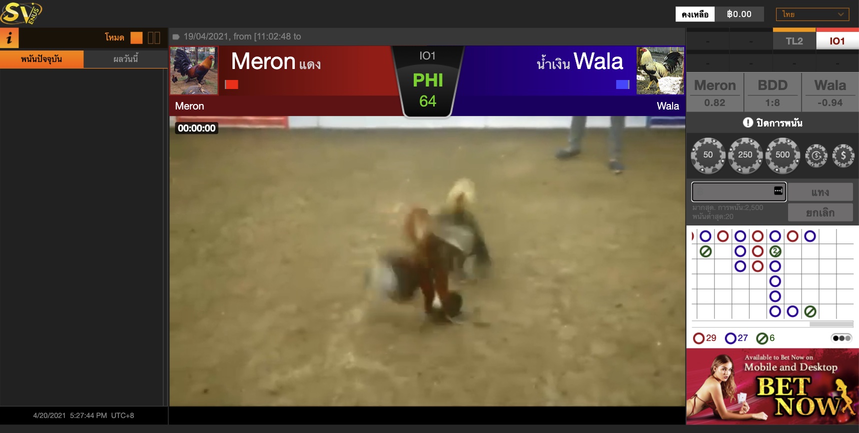 ไก่ชนออนไลน์ cock fighting
