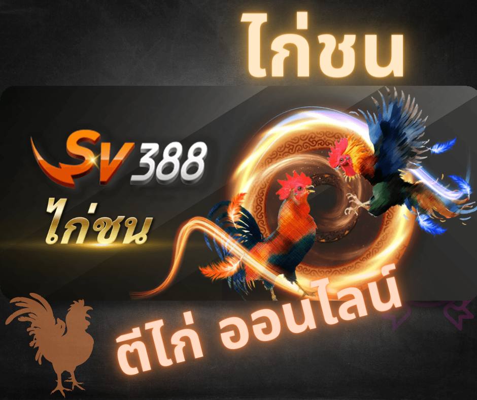 ไก่ชนออนไลน์